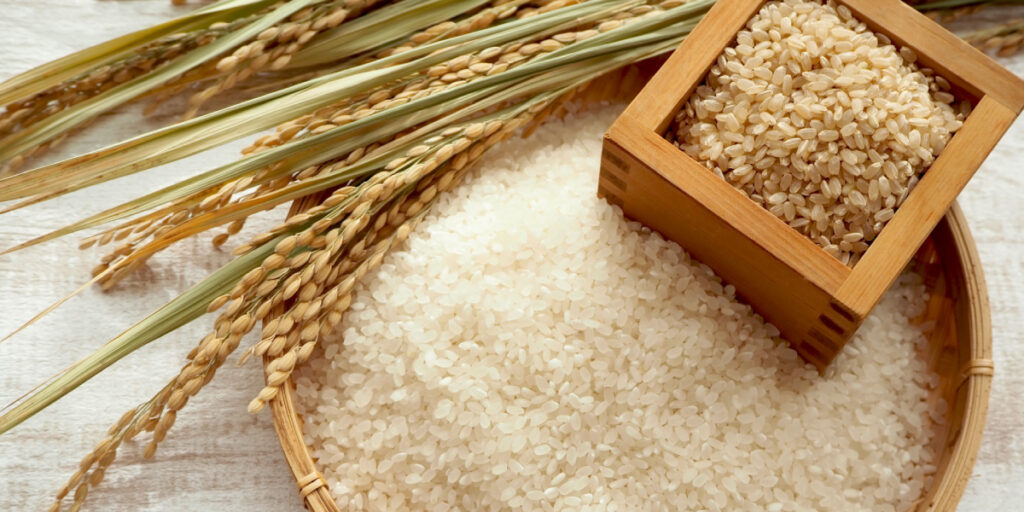 これからは米原料の商品が増え、米の消費量が増えると予測されています。 